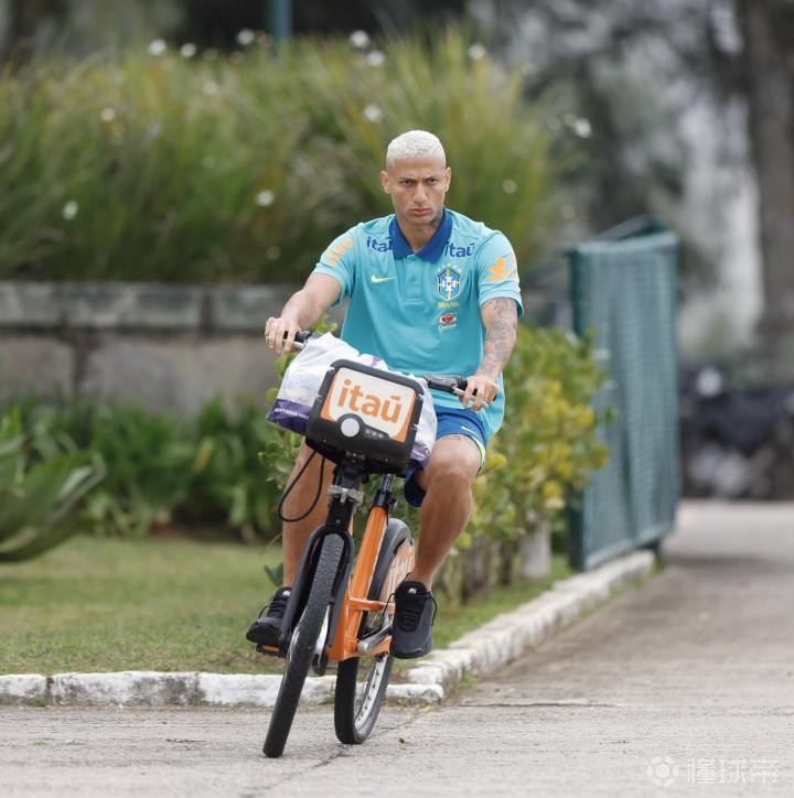 马丁内利, 里沙利松取