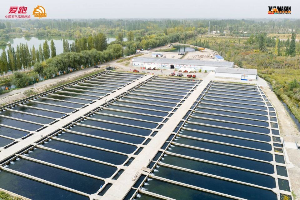 一名后, 赛段的亚军 一名后, 赛段的亚军